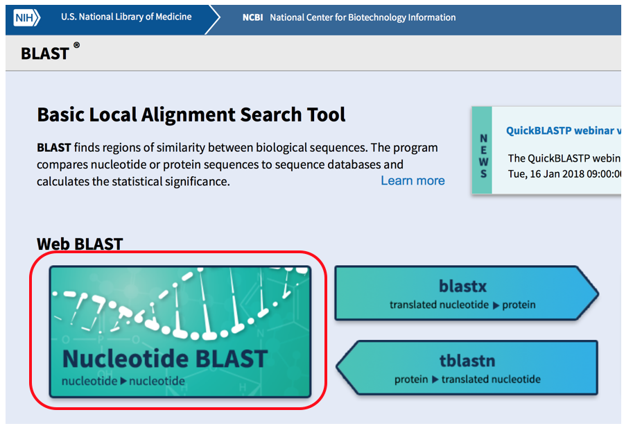 BLAST website picture