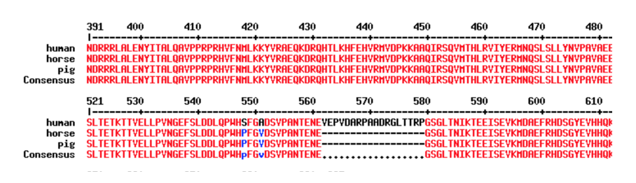 MultAlin results protein picture