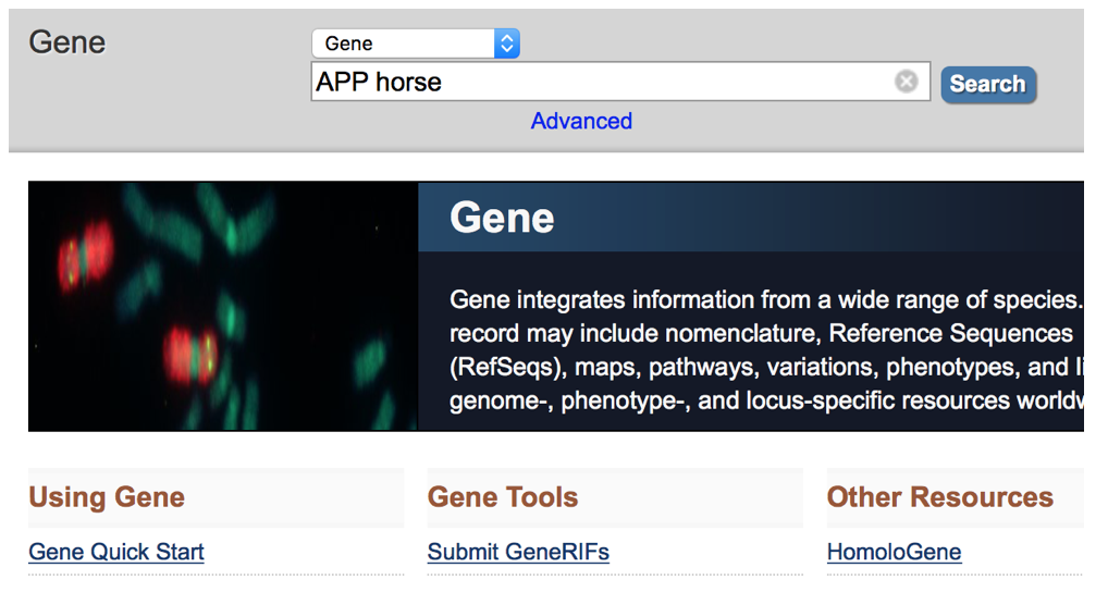 NCBI Website Picture