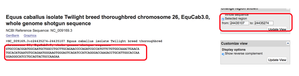 Exon Sequence Picture