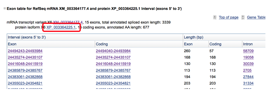 Protein FASTA picture 1