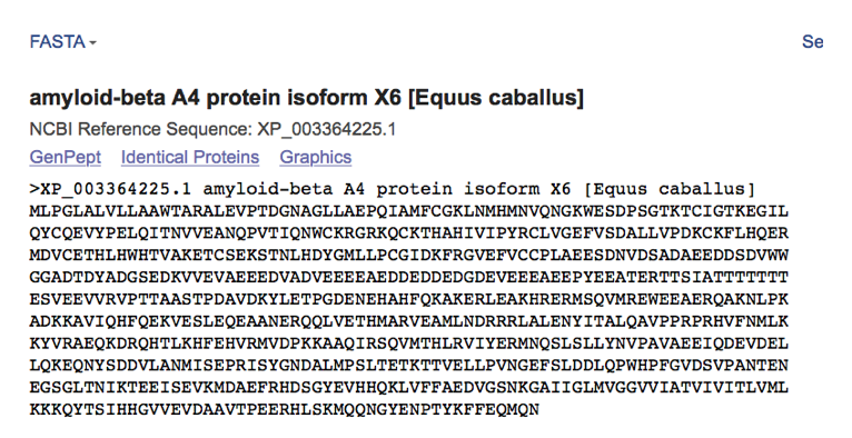 Protein FASTA picture 2